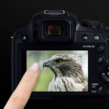 Panasonic DC-FZ82DE-K