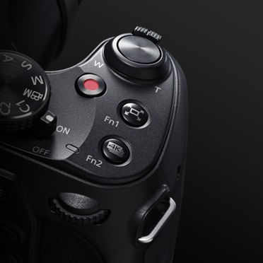 Panasonic DC-FZ82DE-K