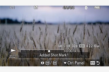 Sony A7R V.29
