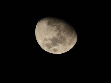 Canon RF 800mm