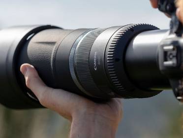 Canon RF 800mm