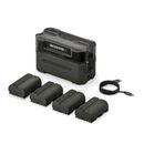 Tilta Statie de Incarcare Portabila pentru LP-E6P 4 Canale cu 4 Baterii Verde