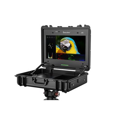 Desview SP17 Plus Monitor Profesional Productie 17.3" 4K