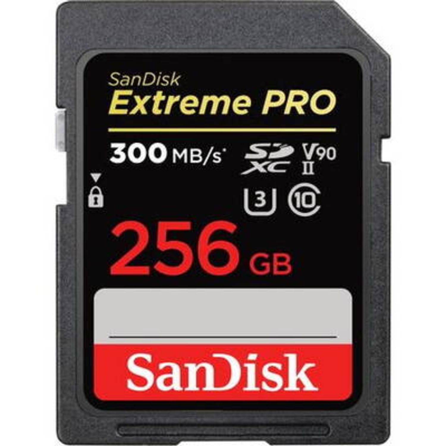 256GB