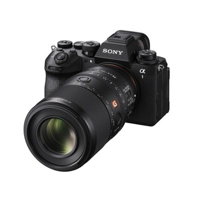 Sony 100mm F2.8 GM OSS Macro 1:1 Obiectiv Foto Mirrorless Montura E