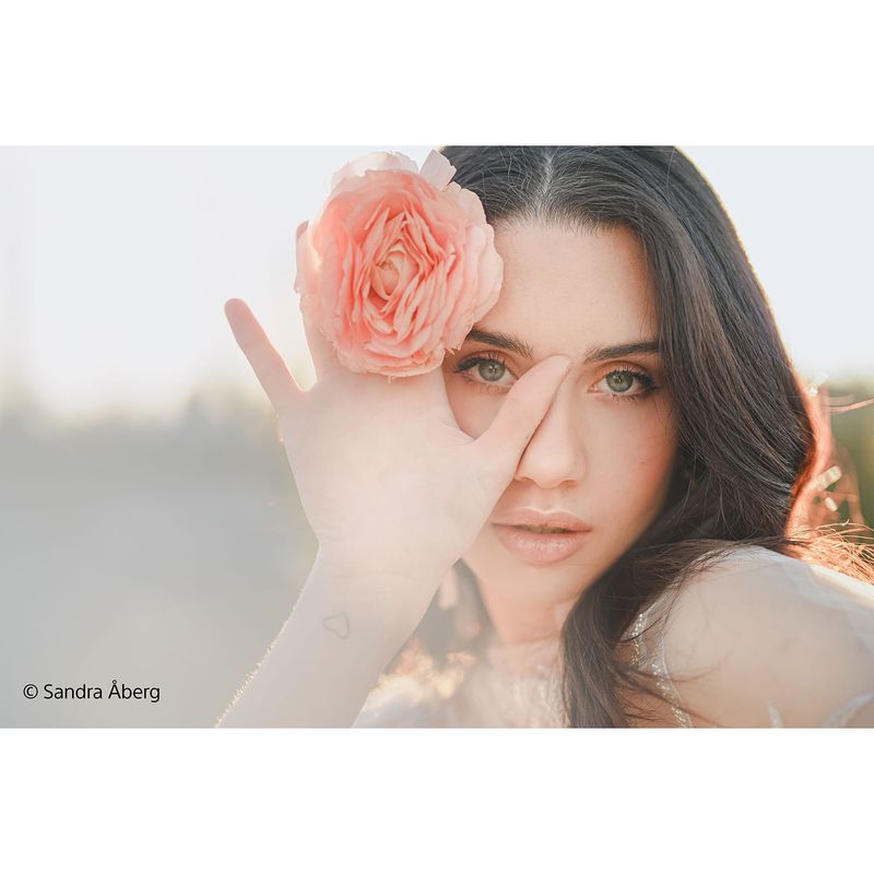 Sony50mmObiectivFotoMirrorlessF12GMFEEmount