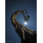 Sony2070mmF4GObiectivFotoMirrorlessMonturaSonyE