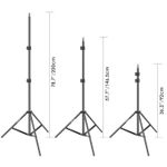 FancierLEDSLH4AKit2LampiLEDBicolore2700K5500K2Softboxuri2Stative