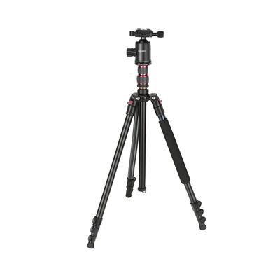 Neewer TP77 Trepied 2-in-1 197 cm