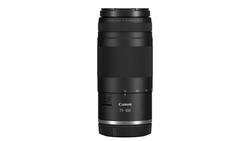 Canon EOS 9000D 望遠レンズセット/ Canon EF75-300 キヤノン EF 75-300mm F4-5.6 USM 高倍率望遠ズーム