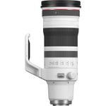 CanonRF100300mmF28LISUSMObiectivFotoMirrorless