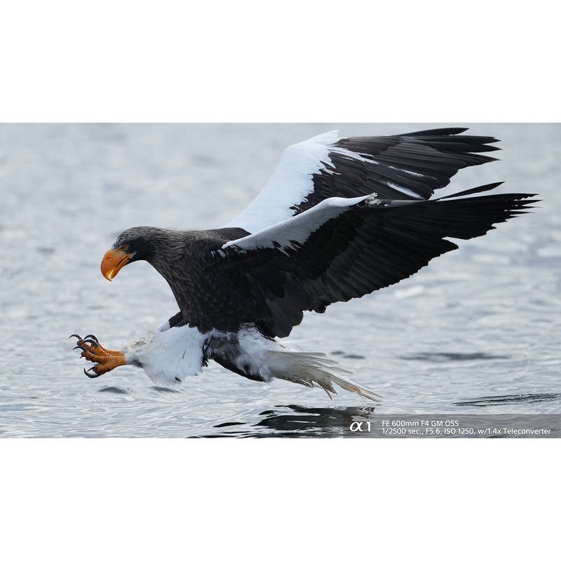 SonyAlpha1CameraFotoMirrorlessFullFrame30fps501MPAFinTimpReal8K4K120p