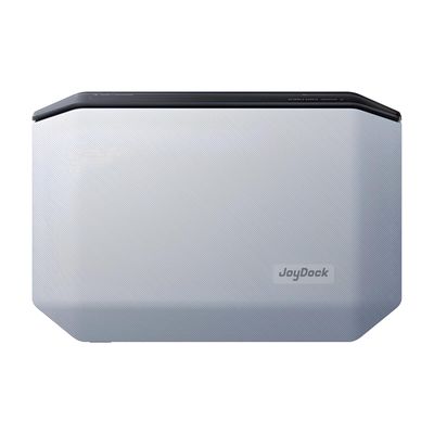 Rayneo Joydock Statie de Andocare