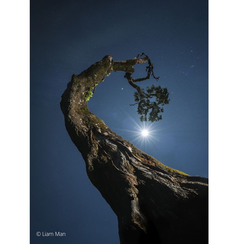 Sony2070mmF4GObiectivFotoMirrorlessMonturaSonyE