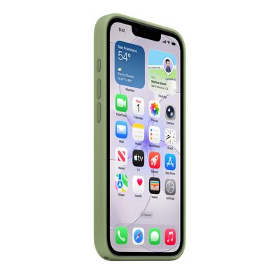 Apple Husa de Protectie cu MagSafe pentru iPhone 17e Verde