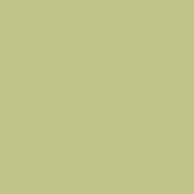 Colorama Fundal foto carton 2.72 x 11m - Fern