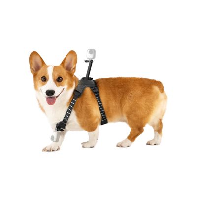 Insta360 Ham cu Suport de Camera pentru Animale marimea M