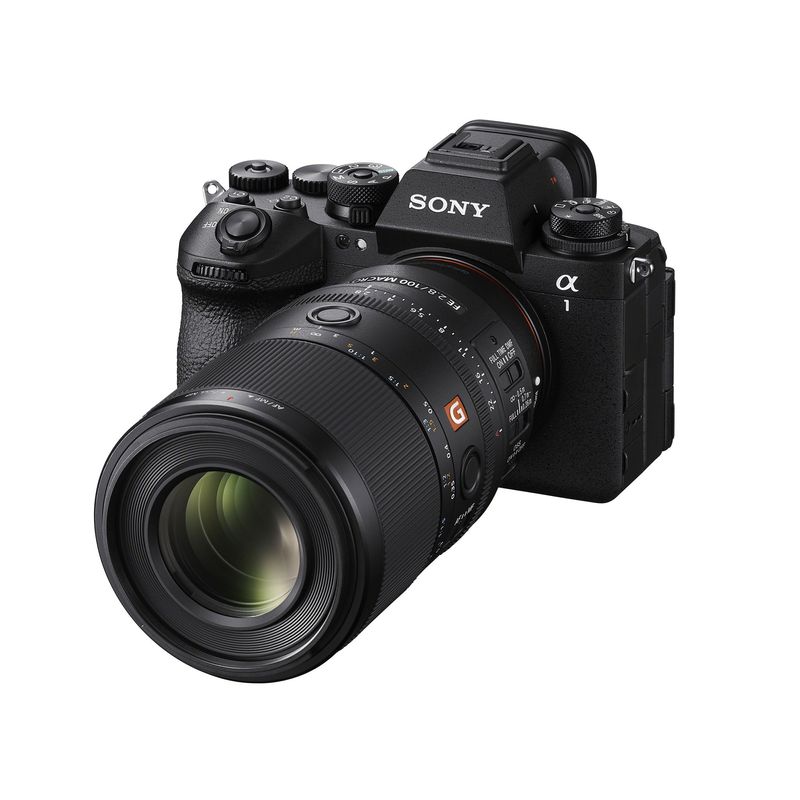 Sony 100mm F2.8 GM OSS macro 1:1 Obiectiv Foto Mirrorless Montura