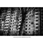 leica-m-monochrom-aparat-foto-rangefinder-digital-negru-37544-8-227