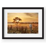 tablou-40x60cm-andrei-baciu-02-38513-47