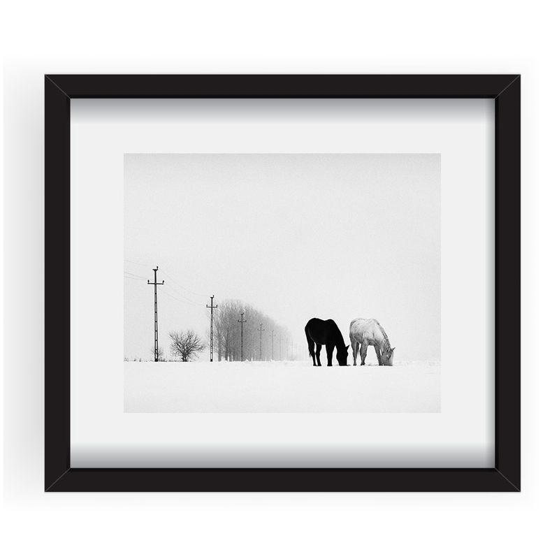 tablou-50x50cm-andrei-baciu-04-38515-884