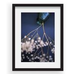 tablou-40x60cm-cristina-tinta-03-38525-393