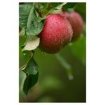tamron-70-200mm-f-2-8-sp-di-ld-sony-rs105846-1-59934-9