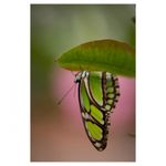 tamron-70-200mm-f-2-8-sp-di-ld-sony-rs105846-1-59934-11