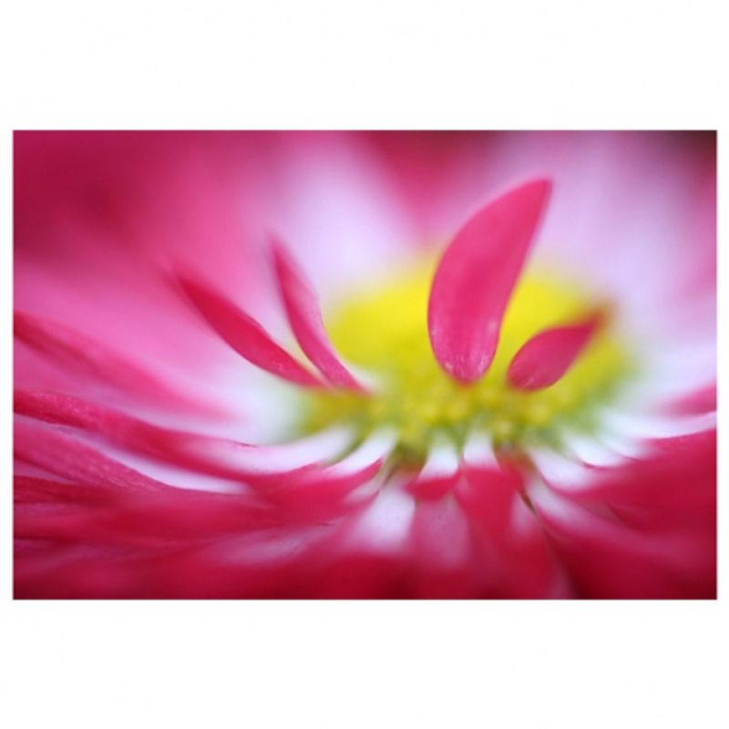 tamron-60mm-f-2-sp-di-ii-macro-1-1-canon-rs50608418-1-63368-3