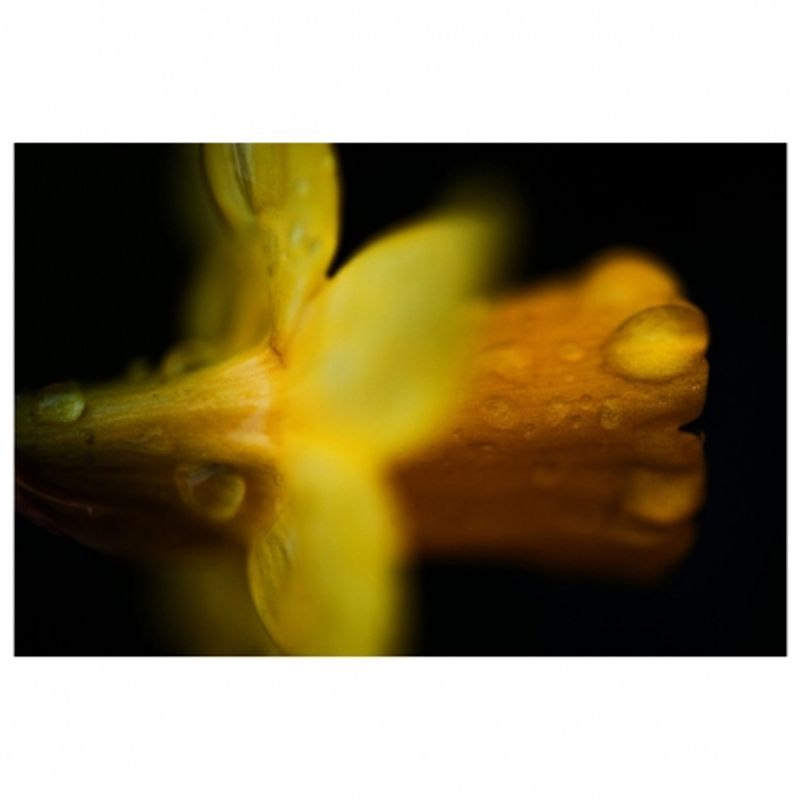 tamron-60mm-f-2-sp-di-ii-macro-1-1-canon-rs50608418-1-63368-4