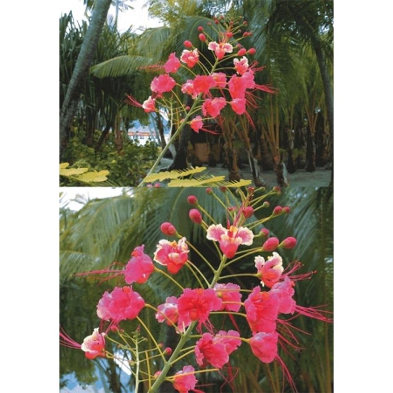 hoya-filtru-hmc-close-up-49mm-3-rs6004609-64030-254