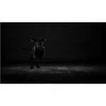 panasonic-lumix-dmc-gh5-kit-12-60mm-f2-8-4-leica-vario-elmarit-dg-o-i-s-rs125033135-65473-9