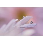 sony-a7ii-m2-body-rs125016159-11-66493-16