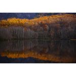 sony-a7ii-m2-kit-sel28-70-f-3-5-5-6-oss--full-frame--af-hibrid--5-fps--wi-fi-si-nfc-rs125016356-2-66494-15