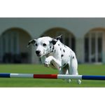 sony-alpha-a5100-negru-sel16-50mm-f3-5-5-6-sel55-210mm-wi-fi-nfc-rs125014878-66619-7