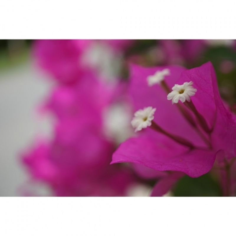 sony-alpha-a5100-ilce-5100l-b--sel16-50mm-e-mount--20-1mp-wifi-nfc-fullhd-rs125014192-2-66756-12