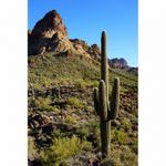 sony-alpha-a6000-negru-sel16-50mm-f3-5-5-6-wi-fi-nfc-rs125011119-41-67102-18