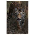 canon-eos-5d-mark-iii-body-rs1047484-9-67680-11