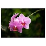 tamron-af-s-70-300mm-f-4-5-6-di-ld-macro-nikon-6476-10