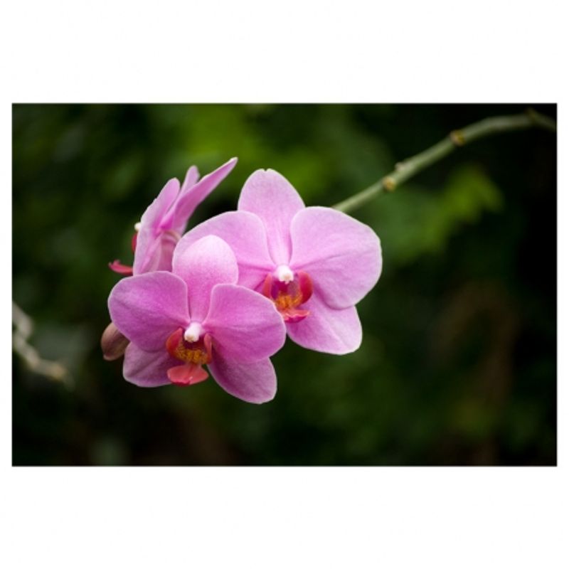 tamron-af-s-70-300mm-f-4-5-6-di-ld-macro-nikon-6476-10