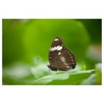 tamron-af-s-70-300mm-f-4-5-6-di-ld-macro-nikon-6476-11