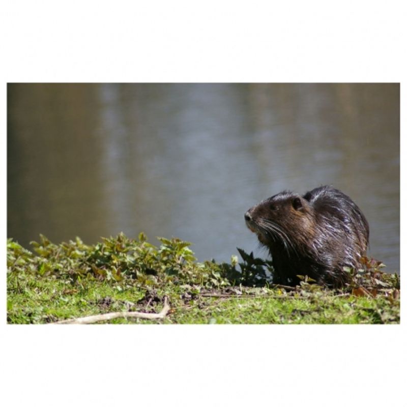 tamron-af-s-70-300mm-f-4-5-6-di-ld-macro-nikon-6476-13