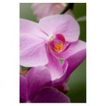 tamron-af-s-70-300mm-f-4-5-6-di-ld-macro-nikon-6476-12