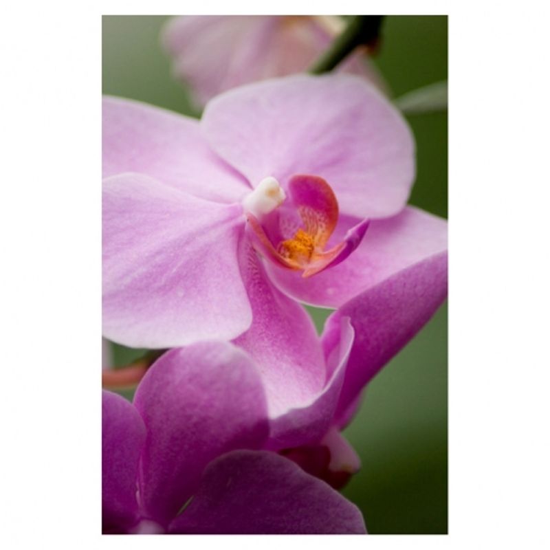tamron-af-s-70-300mm-f-4-5-6-di-ld-macro-nikon-6476-12