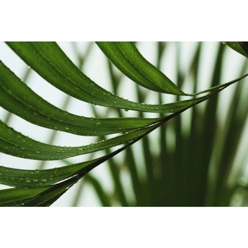 canon-eos-1300d-ef-s-18-55mm-is-ii-f-3-5-5-6--50216-20-430