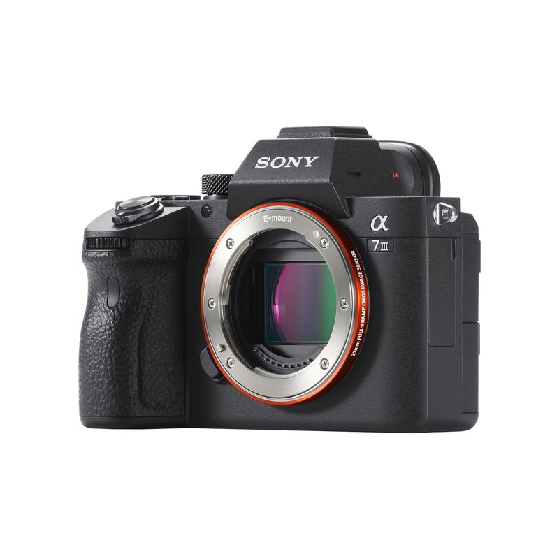 a7_iii1