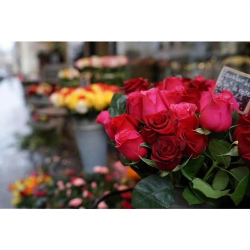 sony-distagon-t--fe-35mm-f-1-4-za-montura-sony-e--compatibil-ff--44378-479-298_1