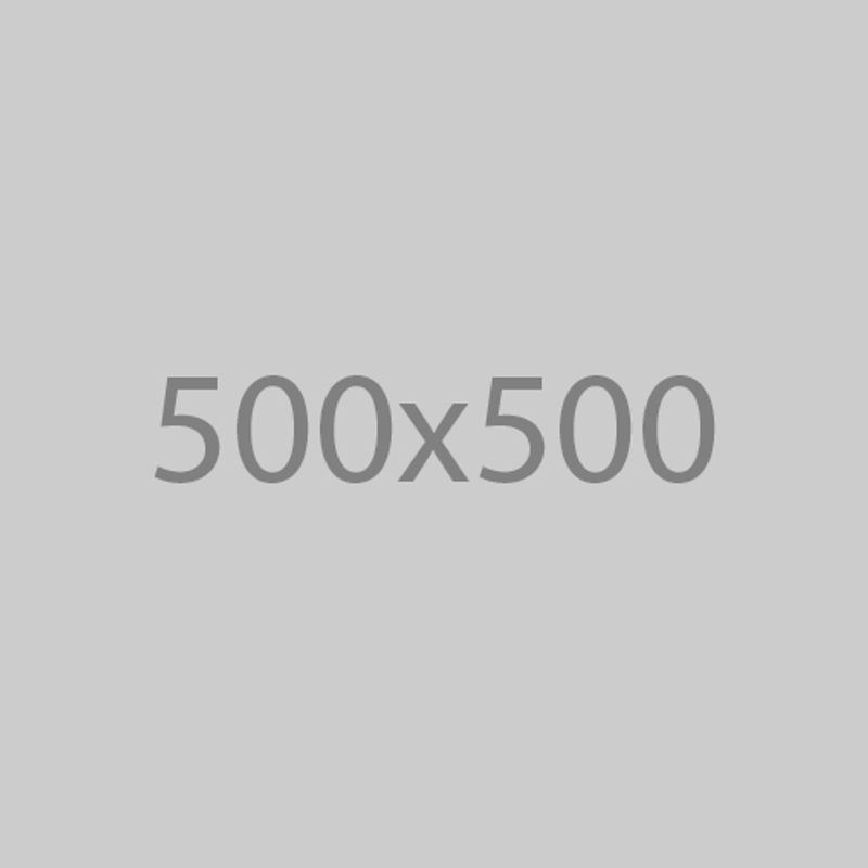 500x500