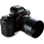 loxia4