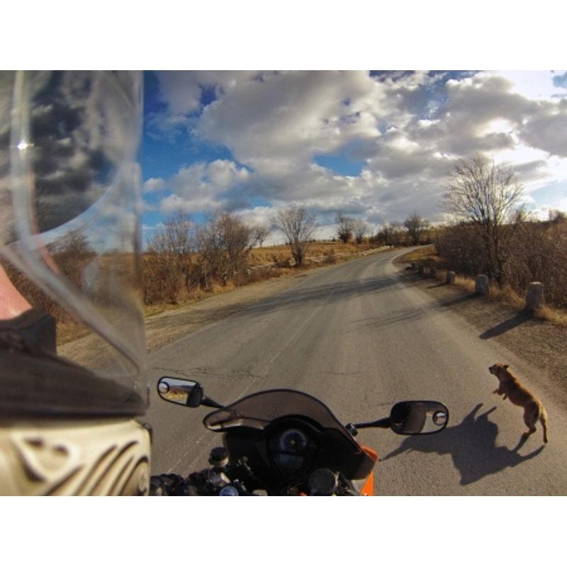 gopro-hero3-black-edition-24105-10
